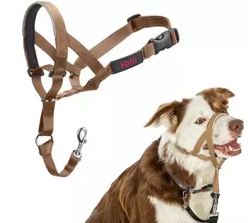 Halti Halti Kopfgeschirr/Headcollar sand, Größe: 2