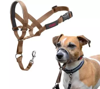 Halti Halti Kopfgeschirr/Headcollar sand, Größe: 1