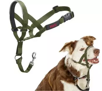 Halti Halti Kopfgeschirr/Headcollar grün, Größe: 2