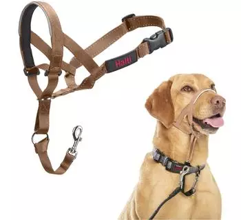 Halti Halti Kopfgeschirr/Headcollar sand, Größe: 3