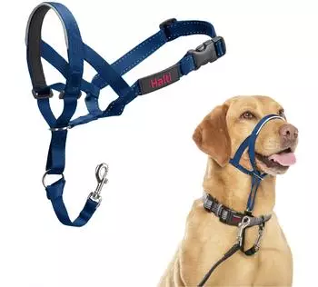 Halti Halti Kopfgeschirr/Headcollar blau, Größe: 3