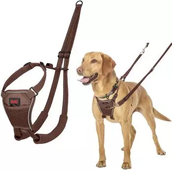 Halti Halti Erziehungsgeschirr No Pull Harness Deep Walnut, Größe: M