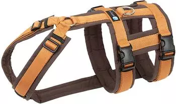 Anny-x Sicherheitsgeschirr Safety Fun M 3,5 x 40 cm
