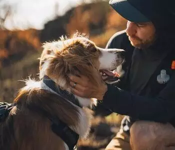 Ruffwear Hundehalsband Ridgeline Collar Obsidian Black