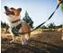 Ruffwear Front Range Flex Harness Deep Teal Gr. XS