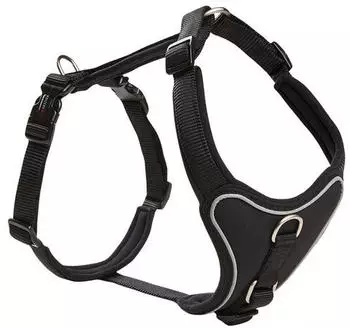Wolters Professional Comfort schwarz/schwarz Geschirr 60 - 70 Centimeter x 30 Millimeter