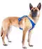 Curli All New Belka Comfort - Schwarz / XL