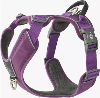 DOG Copenhagen Comfort Walk Pro™ Geschirr Purple Passion S