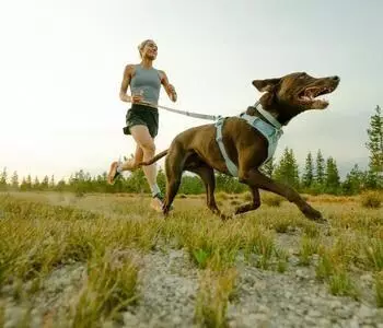 Ruffwear Front Range Flex Harness Polar Blue Gr. S