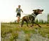 Ruffwear Front Range Flex Harness Polar Blue Gr. S