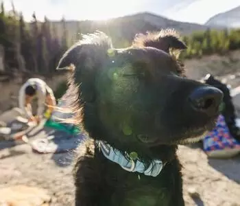 Ruffwear Front Range Flex Collar Polar Blue 28-36 cm