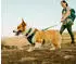 Ruffwear Front Range Flex Collar Deep Teal 28-36 cm