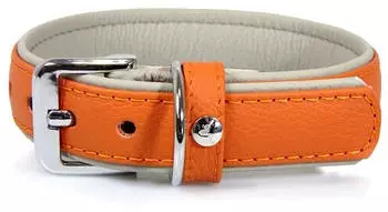 Das Lederband Hundehalsband Amsterdam orange/grey, Länge: 45 cm / Breite: 25 mm