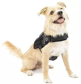 Kurgo RSG Townie Hundegeschirr schwarz S