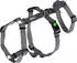 Kerbl Pet Miami Panikgeschirr, grau, 20mm, 48-70cm