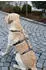 Kerbl Pet Miami Panikgeschirr, grau, 20mm, 48-70cm
