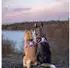 Non-stop dogwear Line harness 5.0 Rachel Pohl edition Pink Nr. 4
