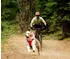 Ruffwear Front Range Flex Harness Rose Violet Gr. L/XL