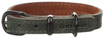 Flamingo Hundehalsband Montana grün, Größe: XL