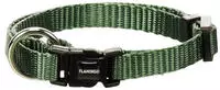 Flamingo Hunde-Halsband Halsband Ziggi khaki Gr&ouml;&szlig;e: S Ma&szlig;e: 30 - 45 cm x 15 mm