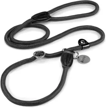 Lionto Retrieverleine mit Halsband 170cm schwarz (DL10097)