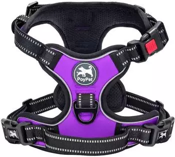 LuxusKollektion Hundegeschirr No-Pull, reflektierend, mit Griff, violett, Größe M