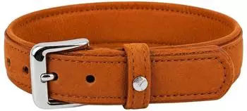 Das Lederband Hundehalsband Denver V2 Cognac, L&auml;nge: 45 cm / Breite: 25 mm