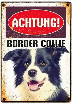 Flamingo Blechschild Hochformat "Achtung! Border Collie", Maße: 14,8 x 21 cm