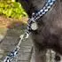 EQuest Ultimo Halsband & Führleine Set Hund, Blue Boy, 30cm (B71040.8)