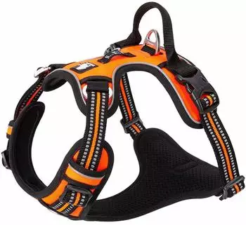 Truelove Hundegeschirr ohne Zug, reflektierend, orange, XS (CO-42-TJ104)