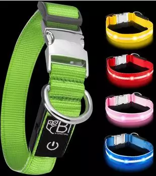 Petsation Leuchthalsband Hundehalsband grün M
