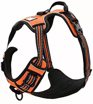 Truelove Front Line Hundegeschirr reflektierend, orange, XL (TLH5651)
