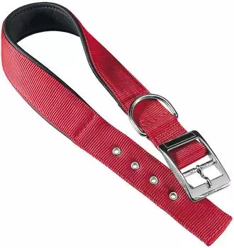 Ferplast Daytona C Hundehalsband Nylon, rot, S (75246922)