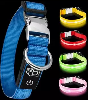 Petsation Leuchthalsband für Hunde LED, blau, M (38-50cm)