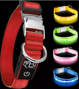 Petsation Leuchthalsband LED für Hunde, rot, Größe S (28-40cm)