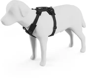Thule Dart Harness Hundegeschirr schwarz (M)