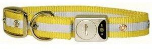 Maxi Pet Halsband Flash&Reflex (25 mm / 35-43 cm)