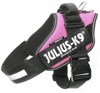 Julius K-9 IDC Powergeschirr 4 - Pink