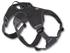 Ruffwear Web Master