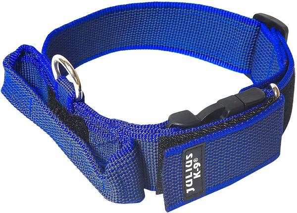 Julius K-9 Halsband mit Haltegriff & Sicherheitsverschluss blau