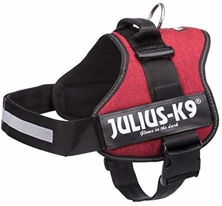 Julius K-9 Power dog harness 3 bordeaux