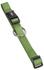 50-65, grün: Nobby Halsband Classic