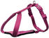 orchidee XS-S