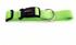 Wolters Halsband Professional