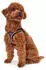 HUNTER Geschirr Hilo Comfort