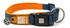 Max & Molly Matrix Smart ID Collar