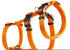 Wolters Geschirr Soft & Safe No Escape