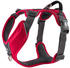 DOG Copenhagen Geschirr V2 Comfort Walk Pro