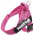 Julius K-9 IDC Gurtgeschirr Color & Gray