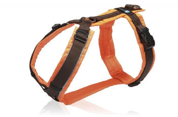 Anny-x Brustgeschirr Protect XL leuchtorange braun